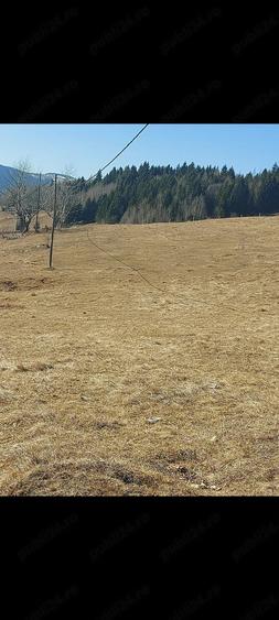 Teren de 7600 mp, în Horea