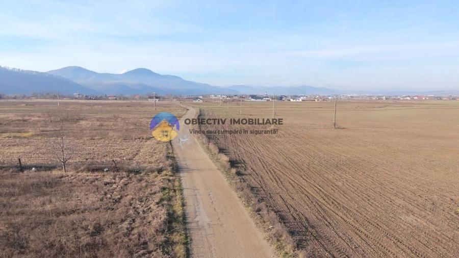Teren investiție intravilan 3600 mp – Dumbrava Roșie - 1