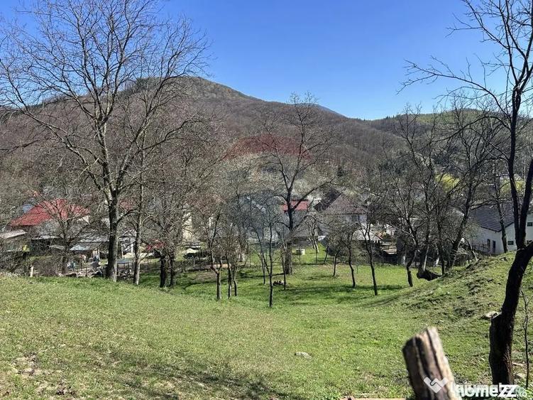 Teren de 1106 mp, în Firiza