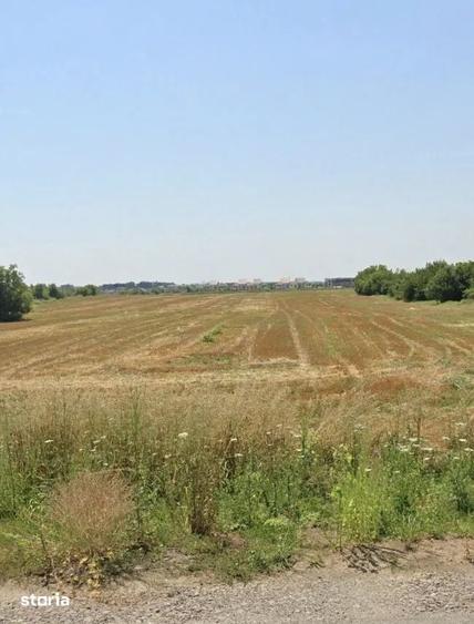 Teren de 7033 mp, în Odăi