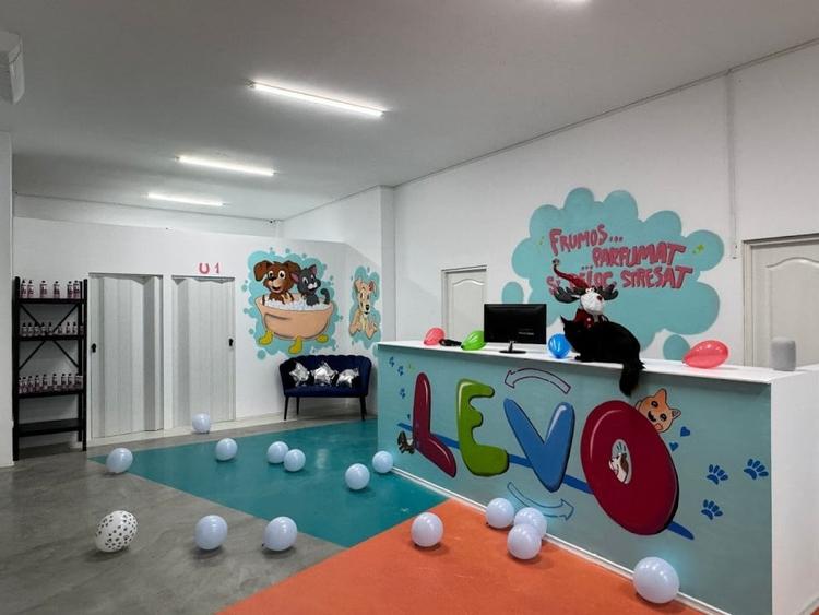 Spațiu comercial, de 190 mp, în Ștefan cel Mare
