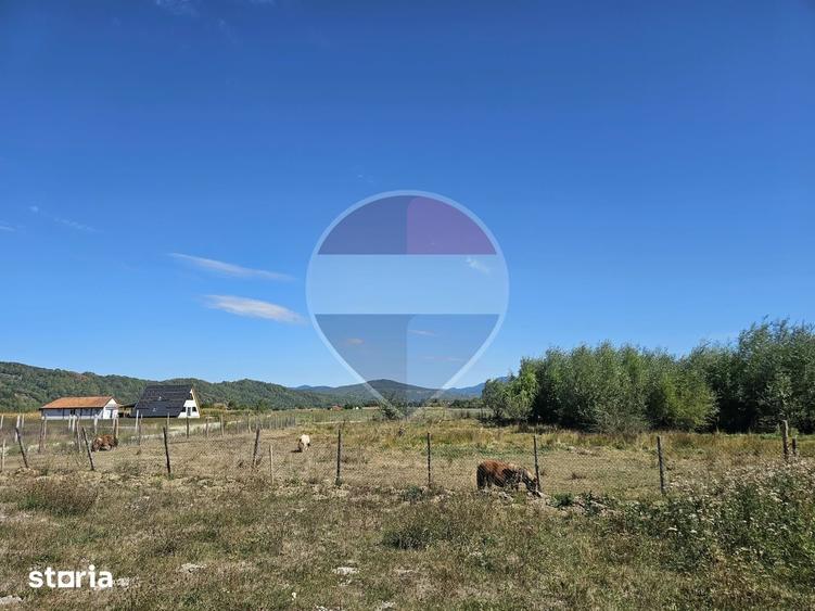Teren de 3000 mp, în Bocicoiu Mare