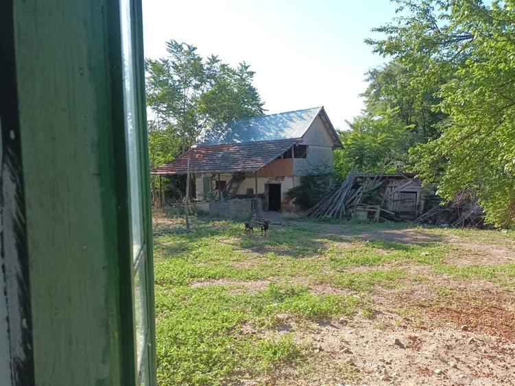Casă cu 3 camere în Goicea
