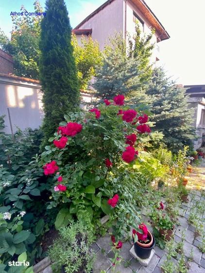 Bucuresti Noi - Ap 3 camere si curte ideal pt locuinta sau birou - 14