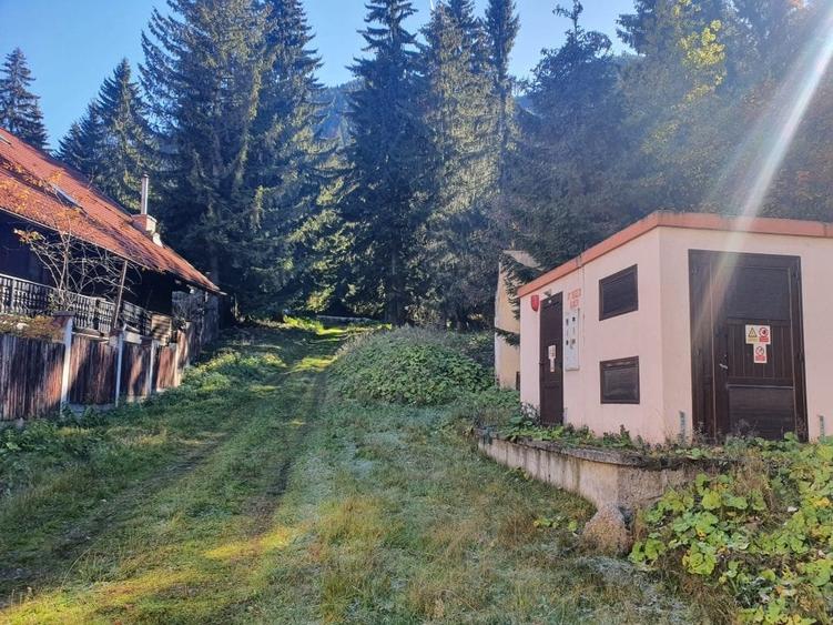 Teren Construcții intravilan de 2000 mp, în Poiana Brașov