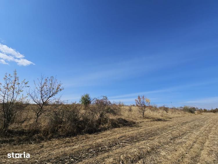 Teren de 5300 mp, în Chinteni