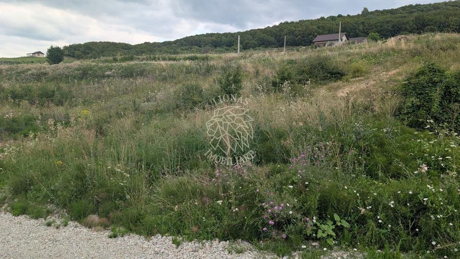Teren Construcții extravilan de 1000 mp, în Est