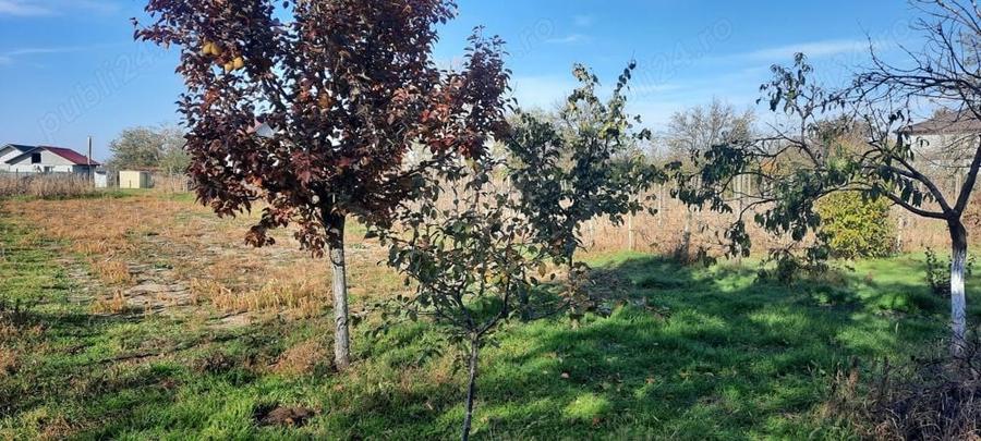 Teren de 1500 mp, în Vânători