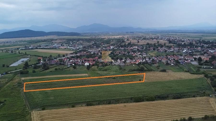 Teren Construcții intravilan de 20000 mp, în Bod