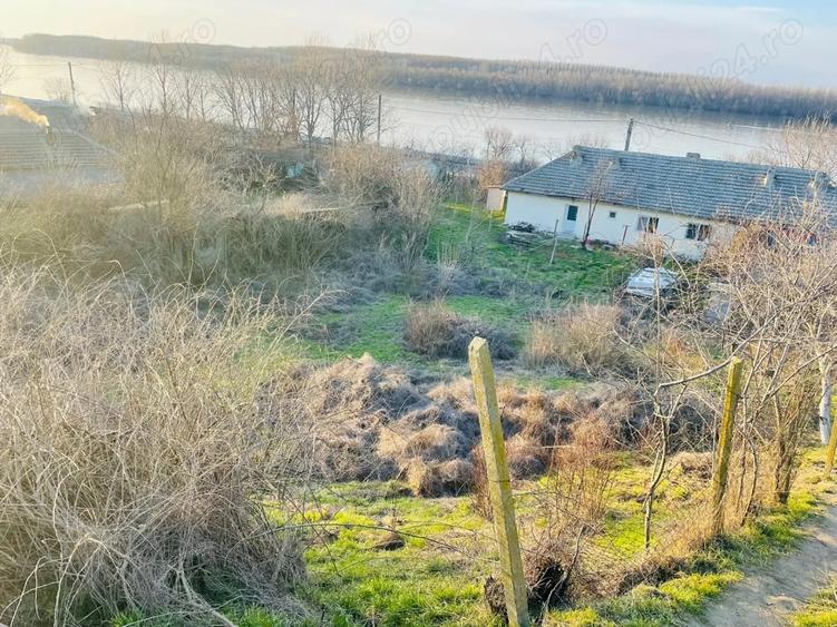 Teren de 3750 mp, în Rasova