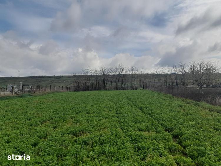 Casă cu 2 camere cu Teren 1058 Mp în Bălțați