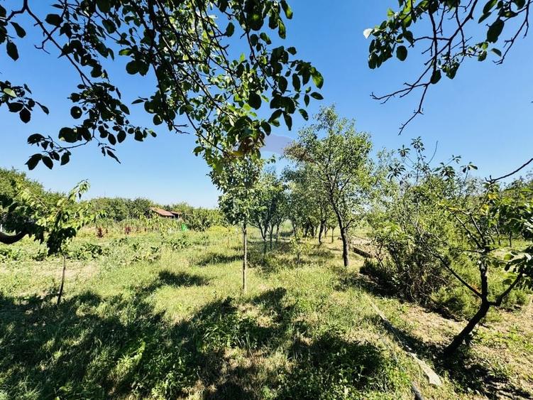 Teren Construcții intravilan de 6210 mp, în Apateu