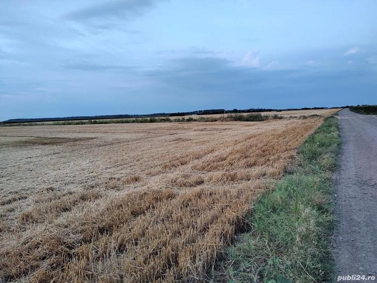 Teren de 11000 mp, în Dridu