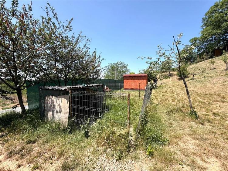 TEREN INTRAVILAN CU PIVNITA | 884 MP | ZONA EPISCOPIA | ORADEA - 8
