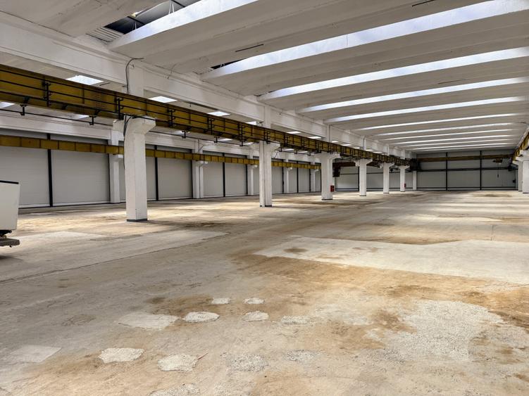 Spațiu industrial, de 5,493 mp, în Mârșa
