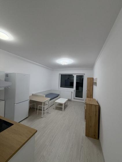 Garsonieră în Gorjului