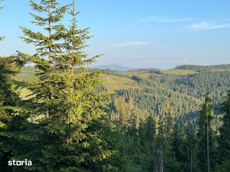 Teren de 500000 mp, în Ciocănești