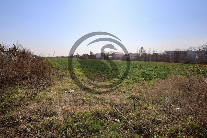 Teren Construcții intravilan de 7800 mp, în Târgșoru Nou