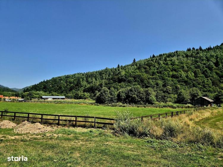 Oportunitate investitie resort/complex /pensiune ,Plaiul Foii Zarnesti - 10