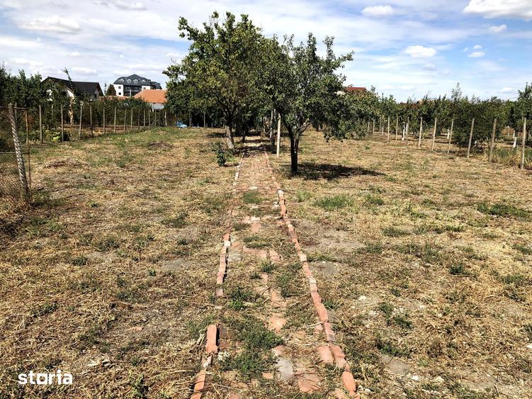 Casă cu 3 camere cu Teren 1438 Mp în Central