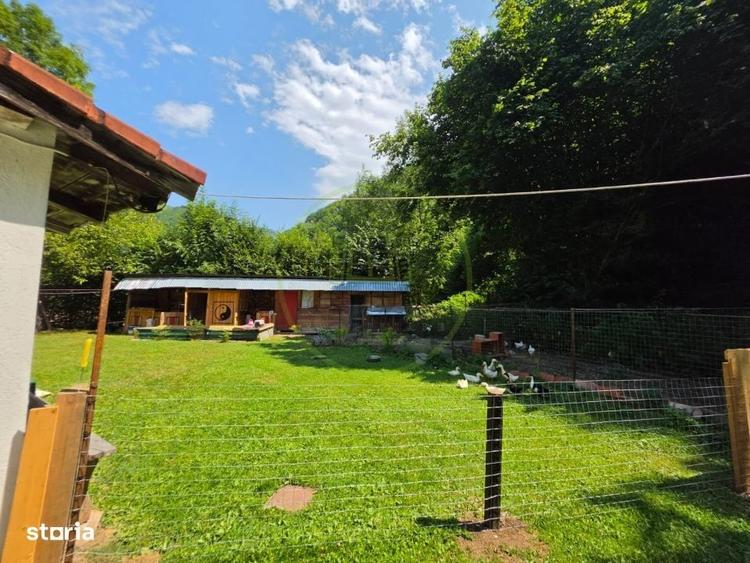 Proprietate Extraordinara Lotrioara, Judetul Sibiu! - 9