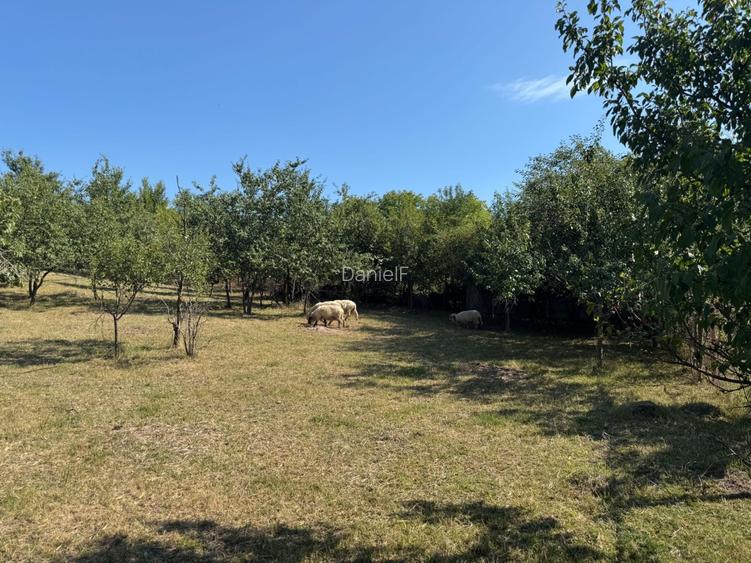 Teren intravilan 2.294 mp Str. Spiresti, Moreni gaz si apa