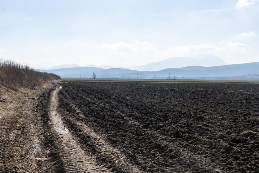 Teren agricol extravilan de 19239 mp, în Vulcan