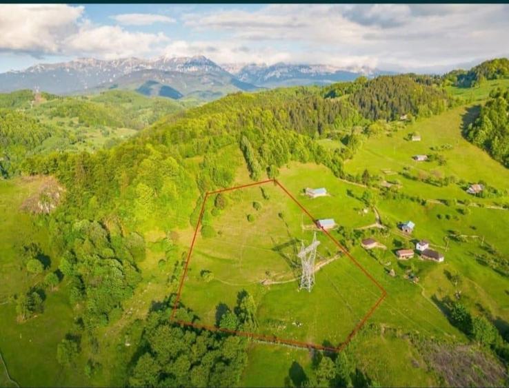 Teren Construcții intravilan de 8800 mp, în Cheia