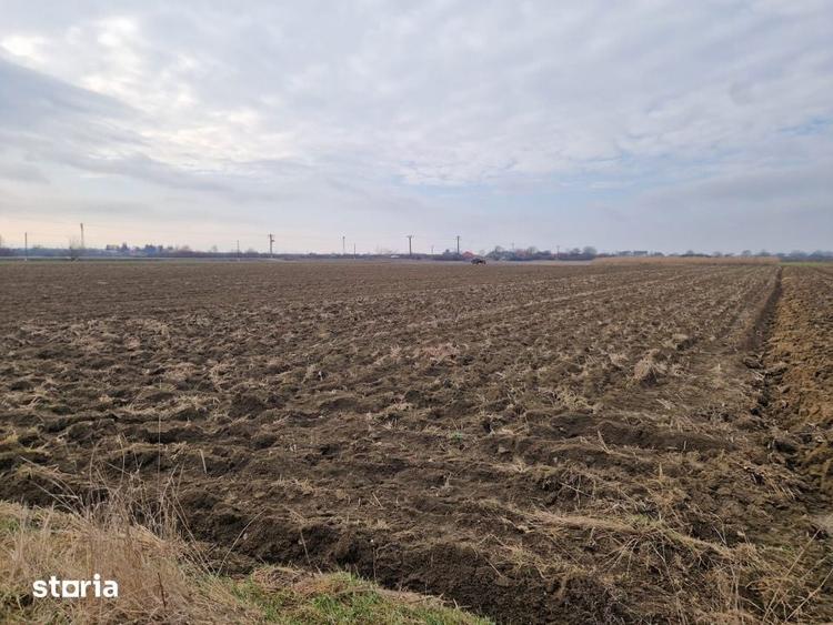 Teren de 5900 mp, în Satulung