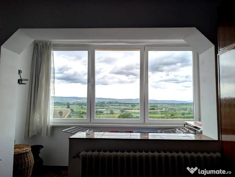 Apartament 2 camere la vanzare - 4