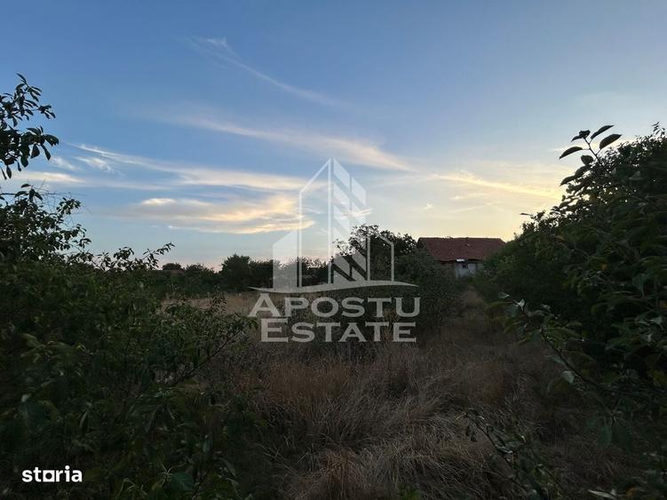 Spațiu comercial, în Braytim