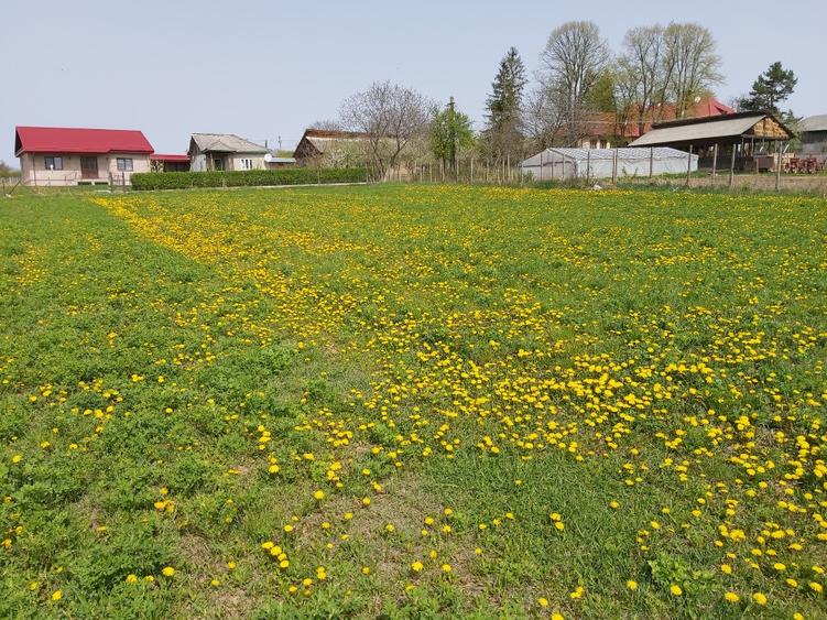 Teren Construcții intravilan de 2160 mp, în Mărăști