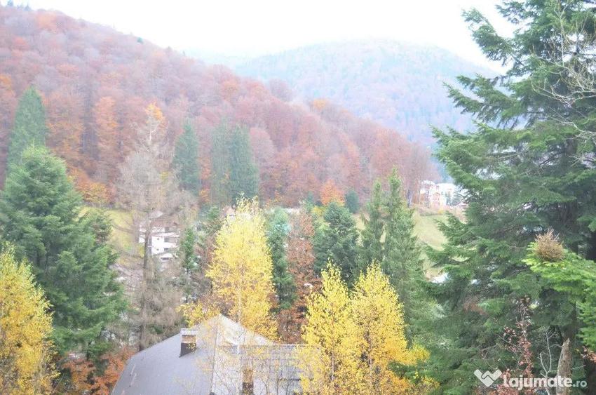 Teren de 1300 mp, în Valea Alba