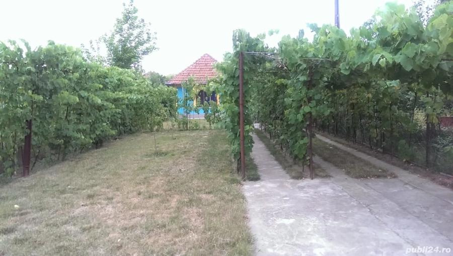 Casă cu 2 camere în Girocului
