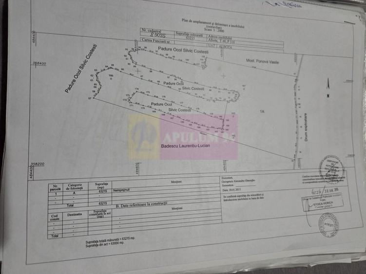 Teren agricol extravilan de 62600 mp, în Albota