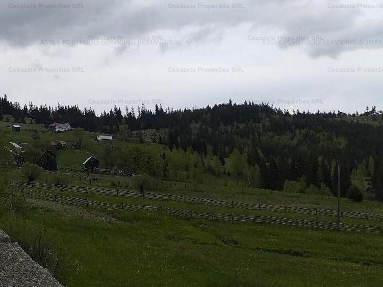 Teren extravilan de 14485 mp, în Iacobeni