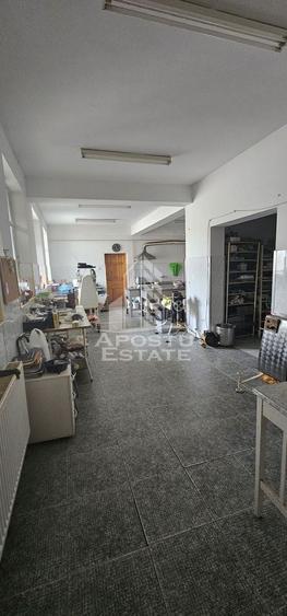 Casa vanzare I pozitie centrala I zona Cetatii I Timisoara - 2