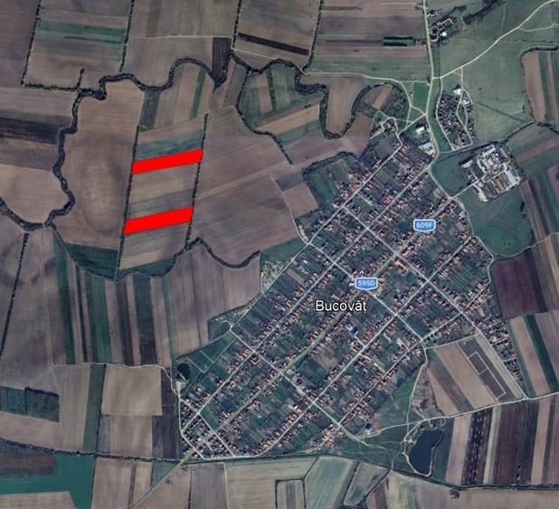 Teren agricol intravilan de 11600 mp, în Bucovăț (Remetea Mare)
