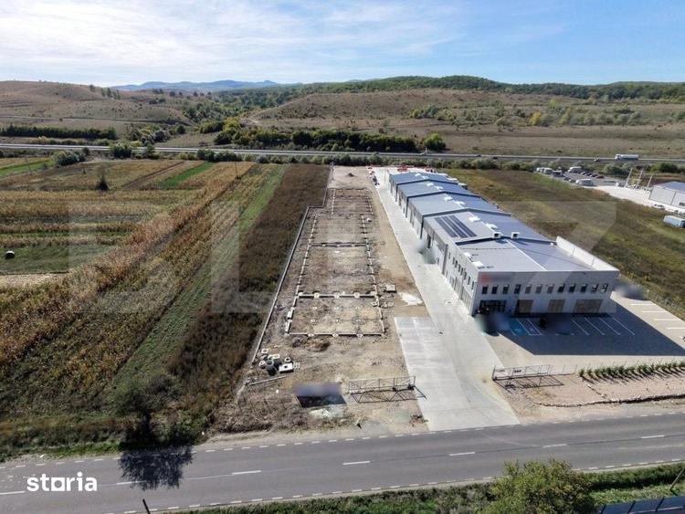 Teren de 5585 mp, în Sava
