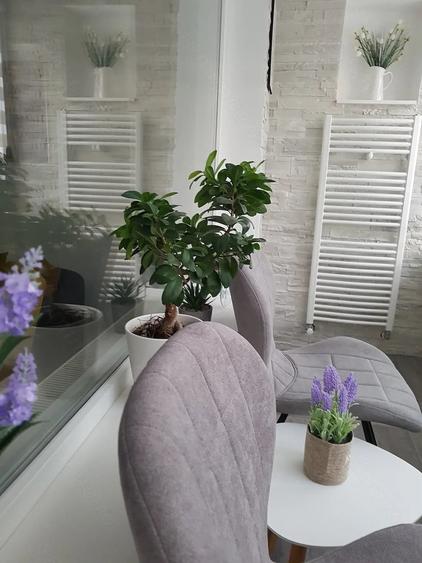 Apartament cu 3 camere semidecomandat în Exterior Vest