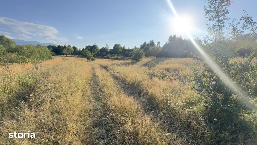 Teren de 1700 mp, în Cârțișoara