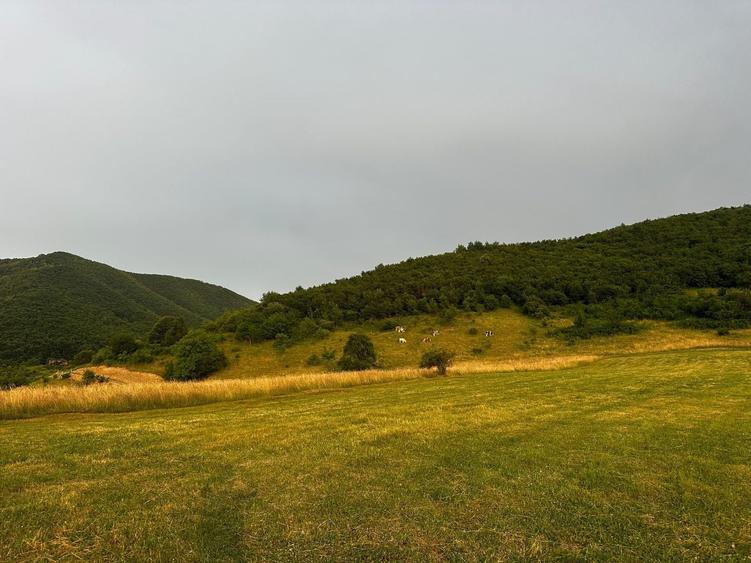 Teren agricol extravilan de 3408 mp, în Gura Râului