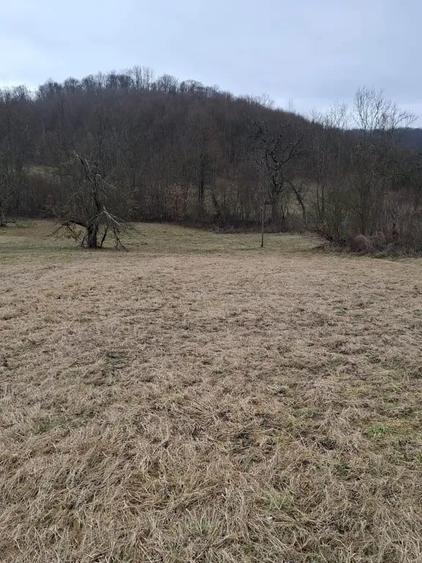 Teren de 3140 mp, în Petriș