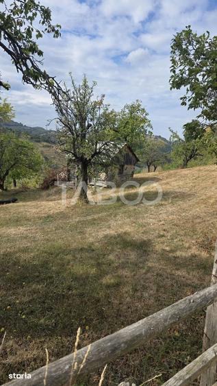Teren de 8300 mp, în Săsciori