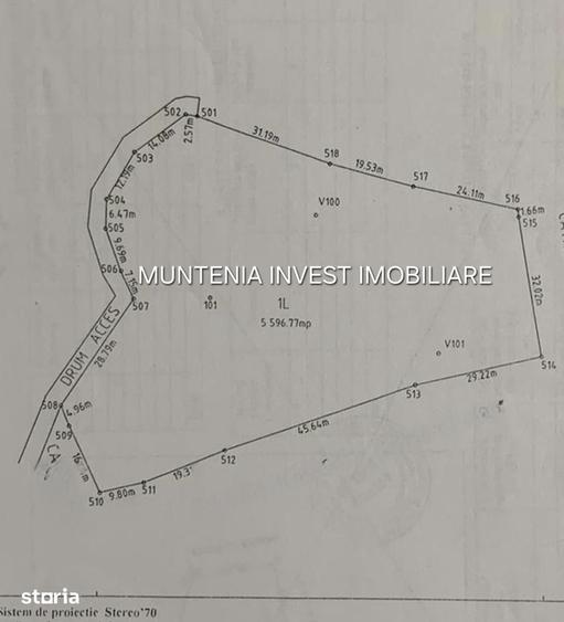 Teren 5596 mp. Com.Bradulet ,sat Galesu. - 1