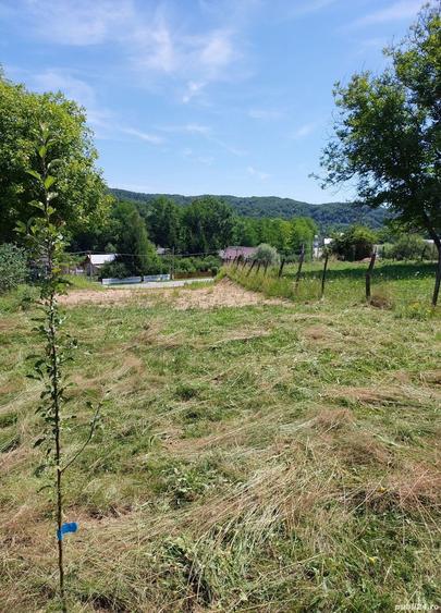 Teren de 1500 mp, în Vulcana de Sus
