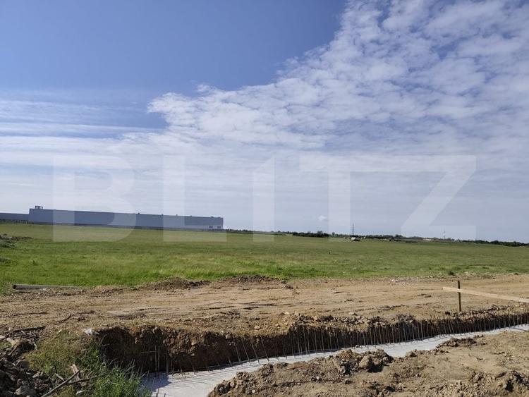 Teren Construcții intravilan de 10000 mp, în Nufărul