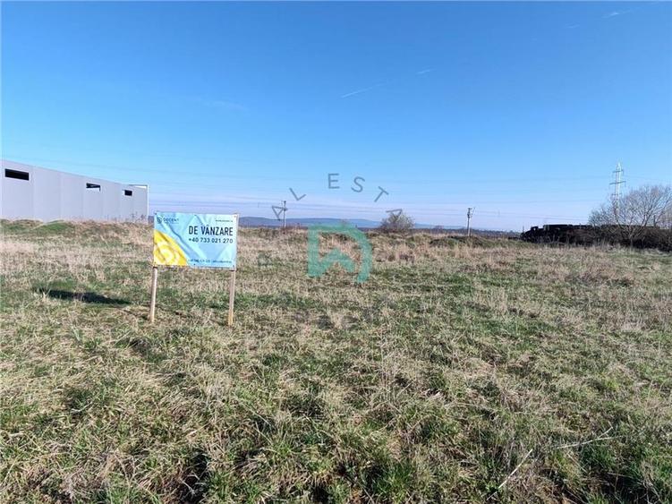 Teren Construcții intravilan de 7700 mp, în Prejmer