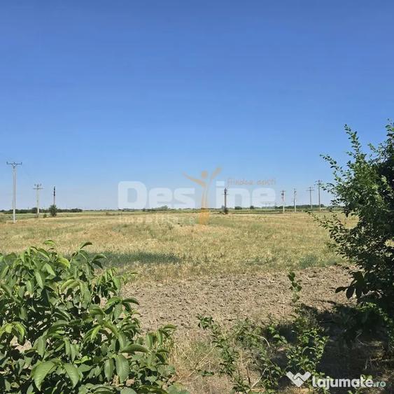 Teren de 5759 mp, în Modelu