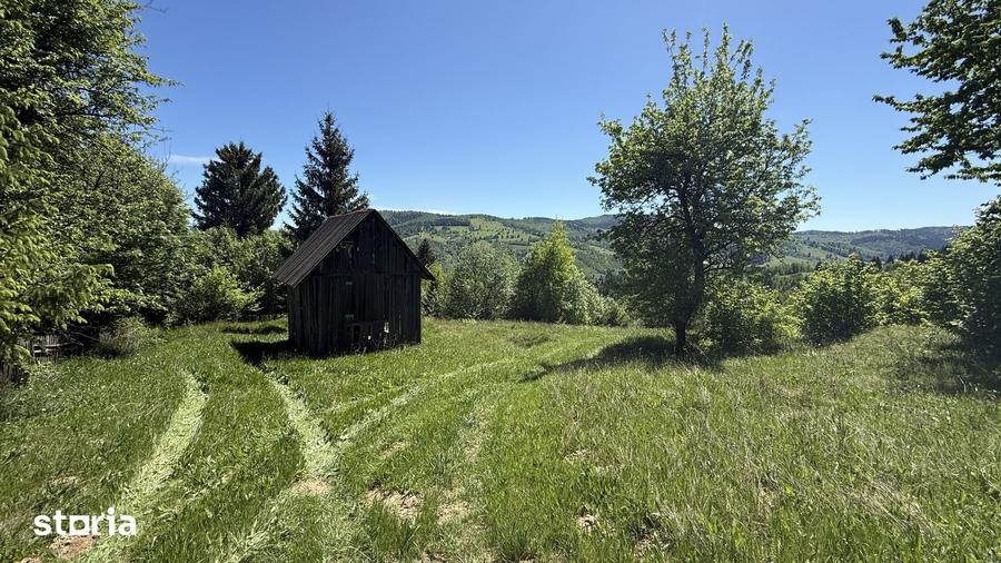 Teren de 21053 mp, în Vama